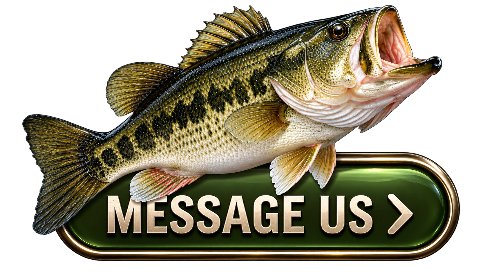 Message Us